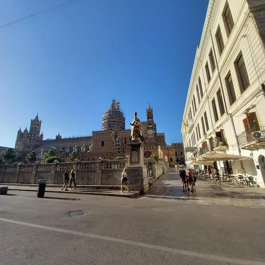 Piper Love Palermo 0*,